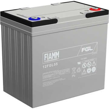 FIAMM 12FGL55 General Purpose (10-Year) VRLA Batteries (12V 55Ah)