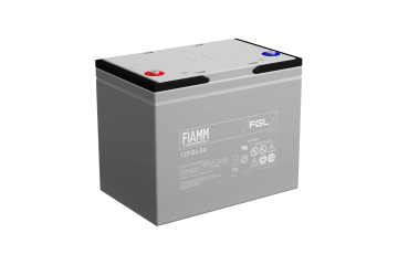 FIAMM 12FGL80 General Purpose (10-Year) VRLA Batteries (12V 80Ah)