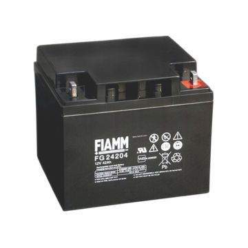 FIAMM FG24204 General Purpose (5-Year) VRLA Battery (12V 42Ah)