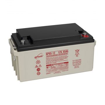 EnerSys Genesis NP65-12 (12V 65Ah) General Use AGM VRLA Battery - 01